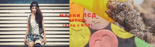 прущие грибы Нефтекумск