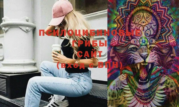 соль курить ск Няндома