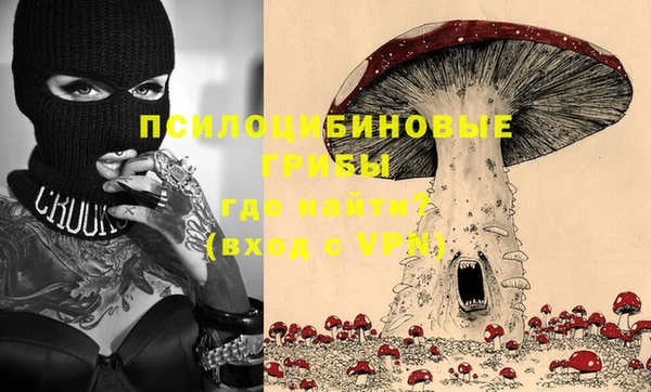гидра Новокубанск