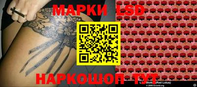 гидропоника Жуковский