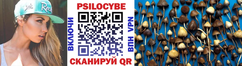 где продают наркотики  Искитим  Галлюциногенные грибы Magic Shrooms 