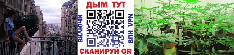 Марихуана AK-47  как найти наркотики  Искитим 